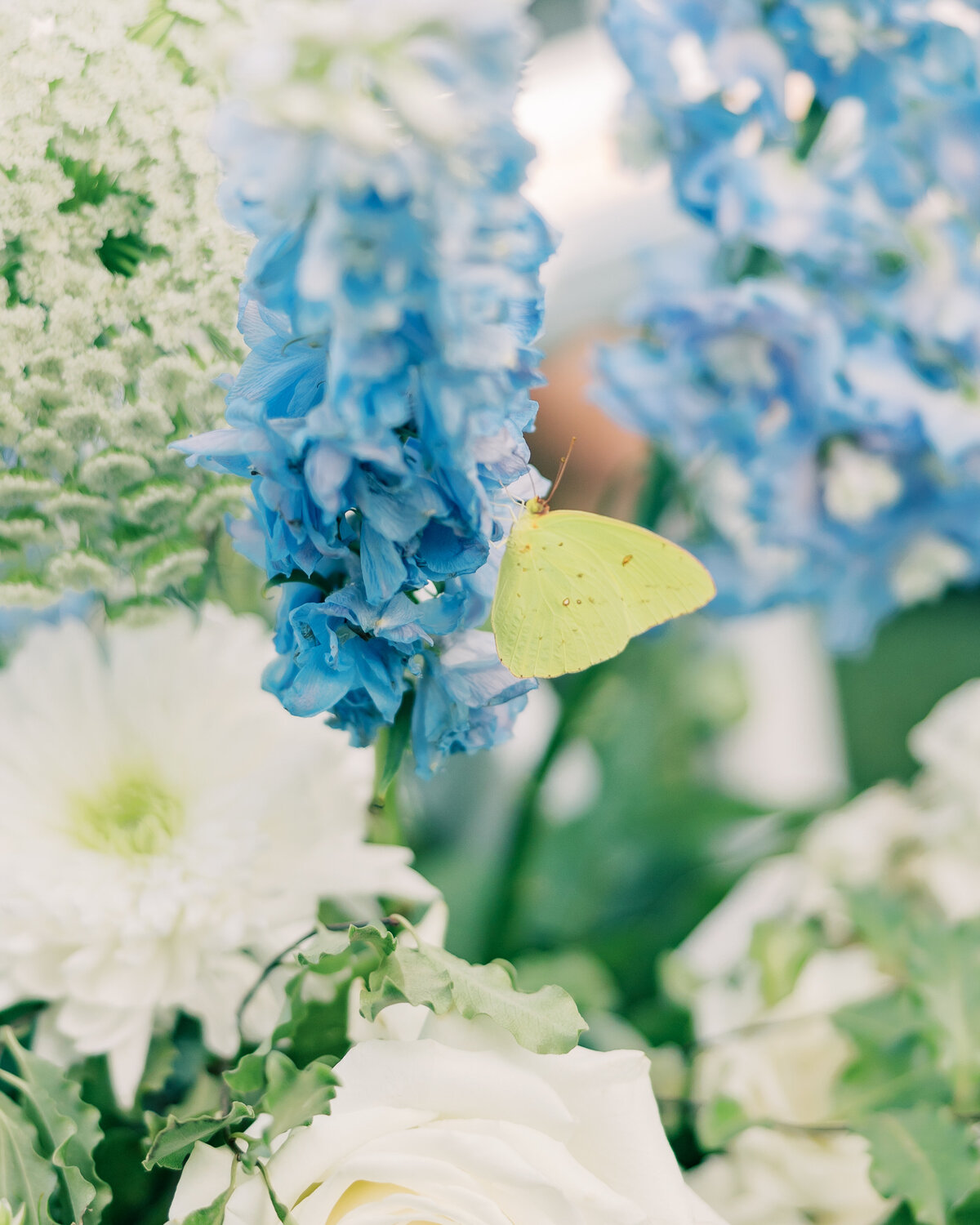 Molly_Sergio_Wedding-42