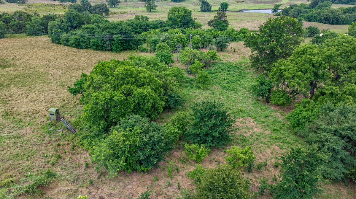 33.6 acres of treed land near Rock Creek Expansion for sale
