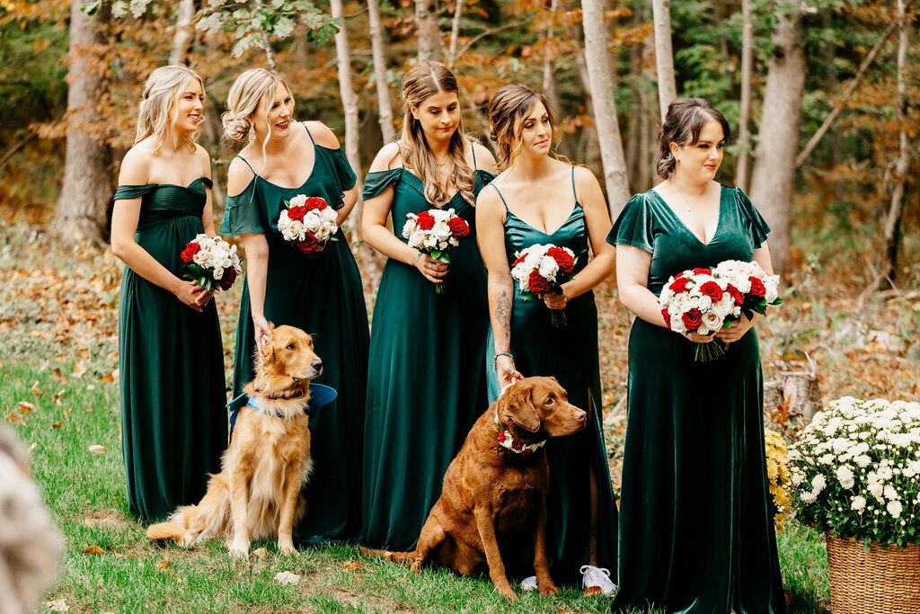 Kate_and_Josh_Wedding_352