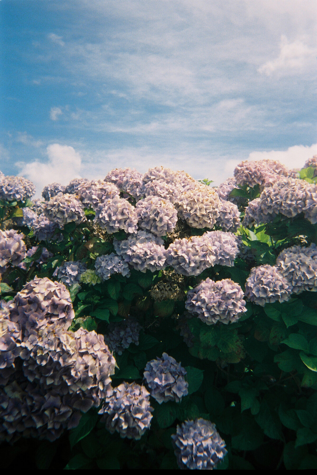 EmilyAdams003727--000022