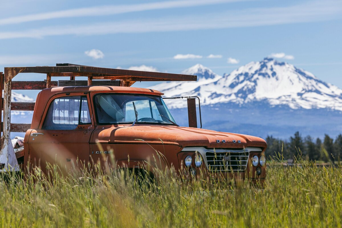 a truck in a field with mountains behind