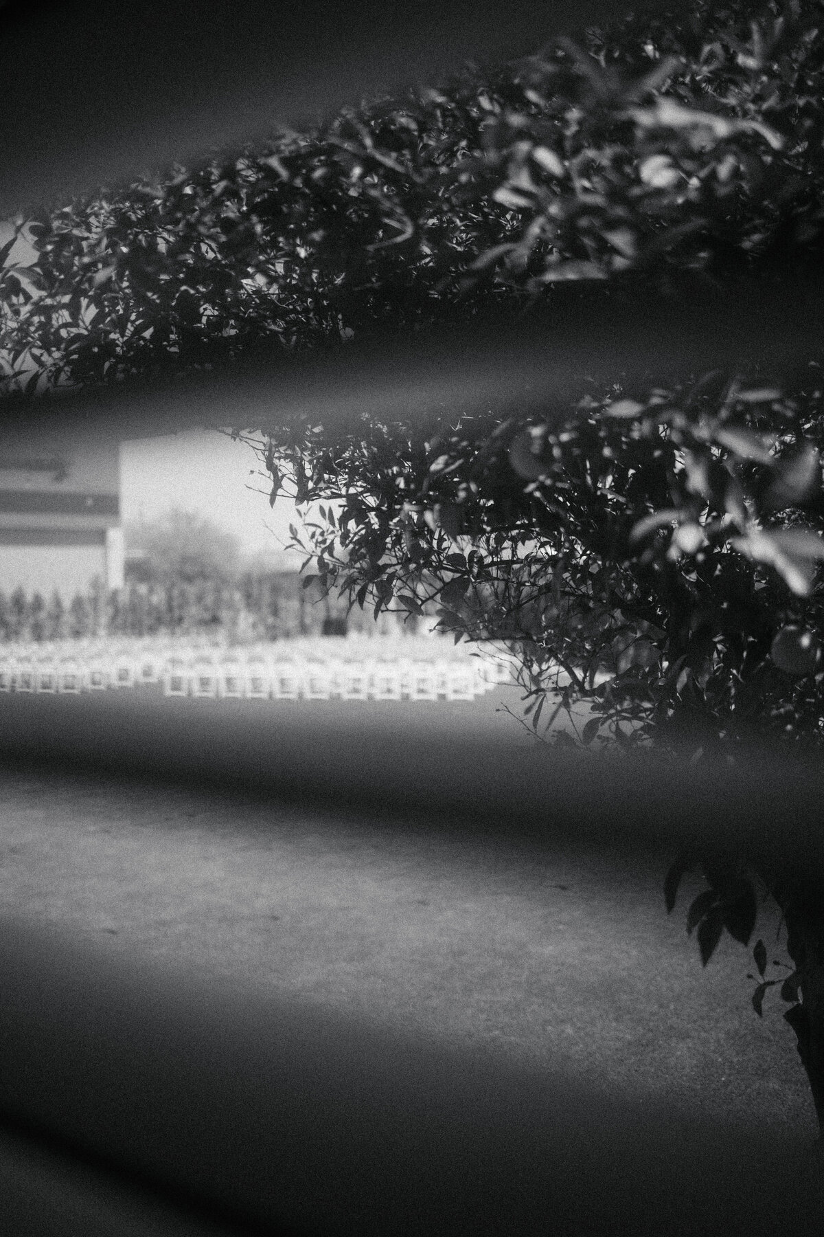 HARRIAGA_emily&ryan_details-007