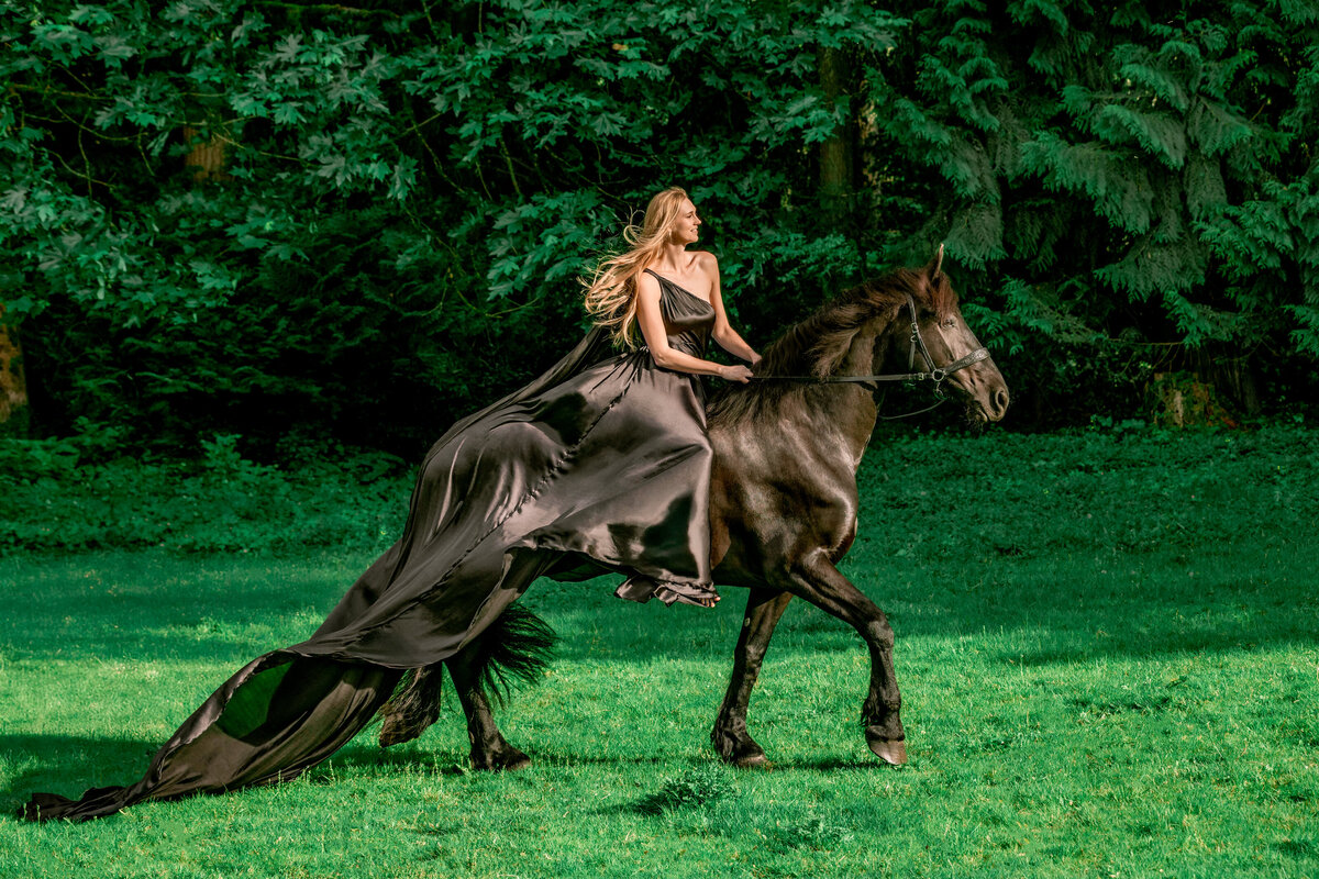 seattle-equine-photographer