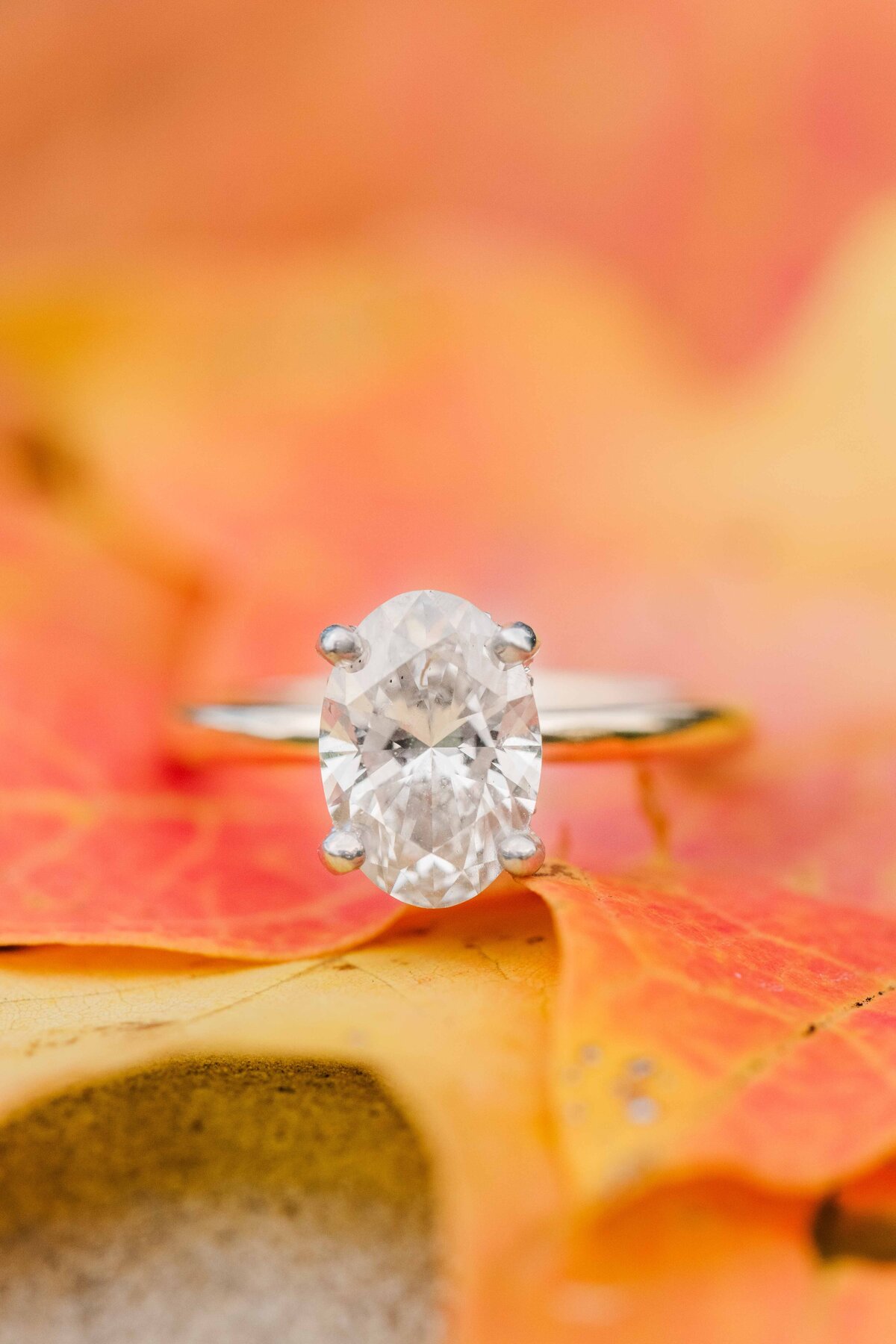 Fall_Leaves_Ring_Shot