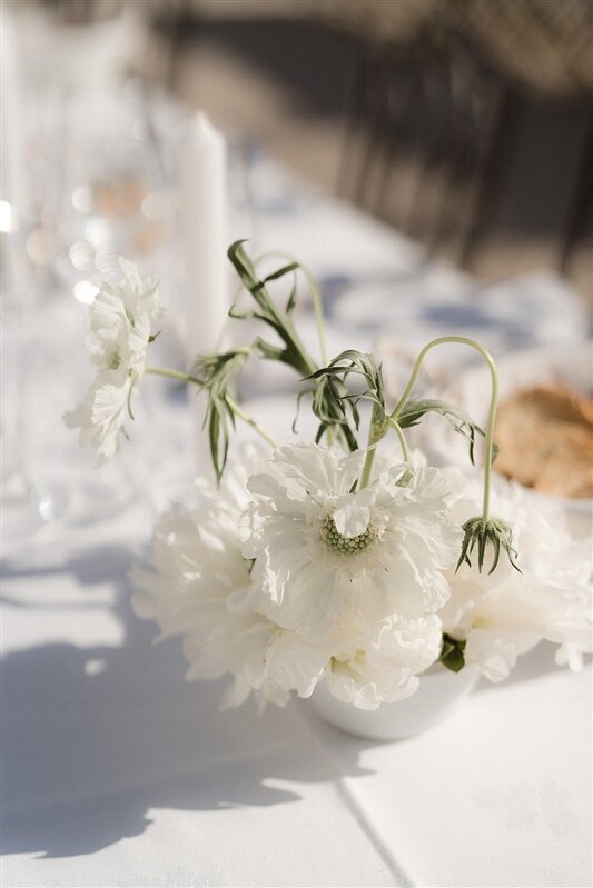KM-553-DSC05050_websize
