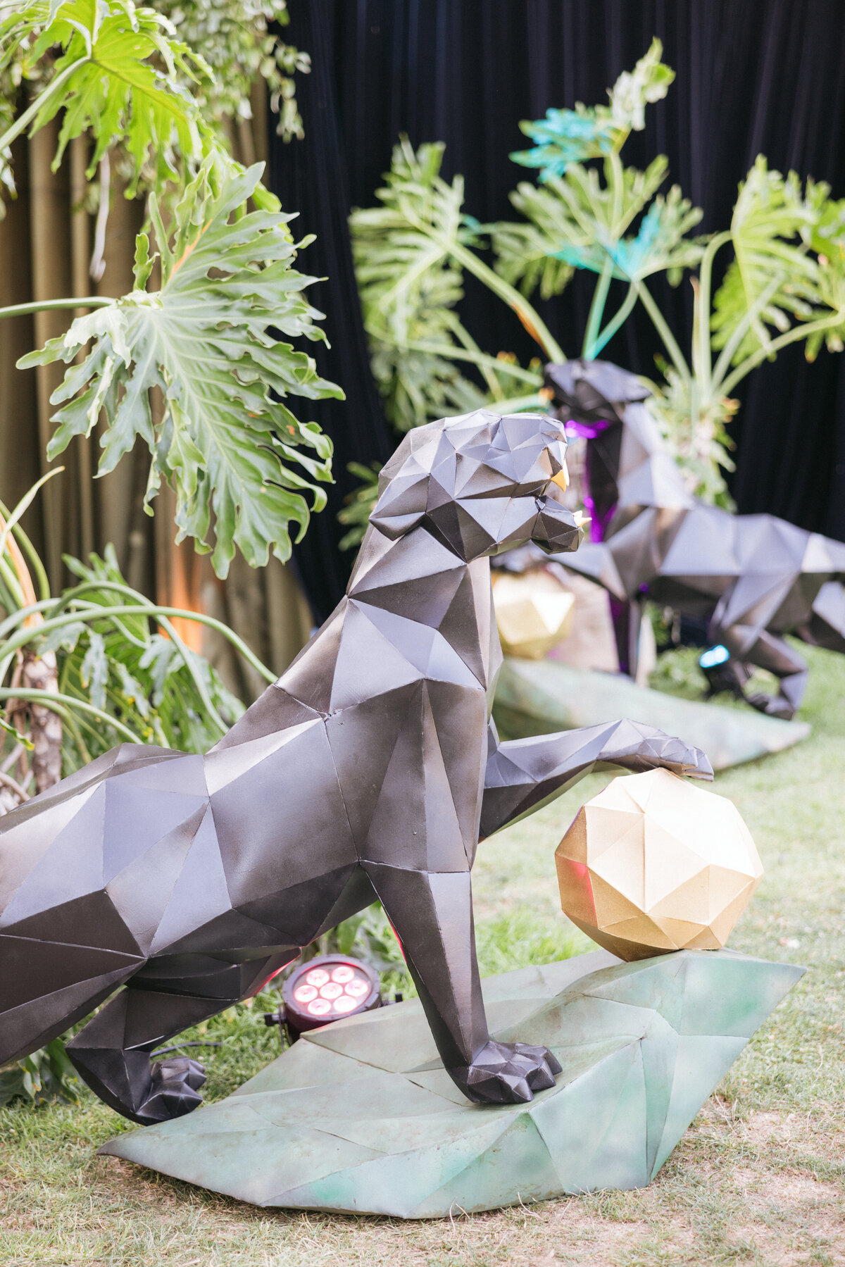 Tyler Speier Events - Zoofari2024-90