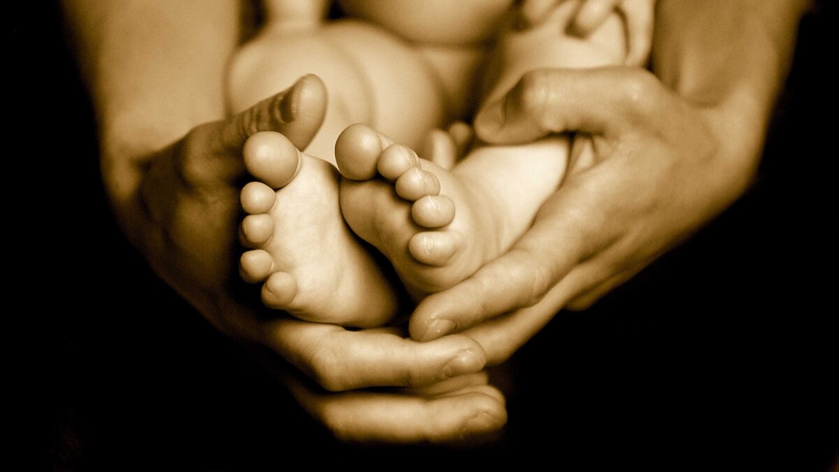 baby gallery 1 - 6