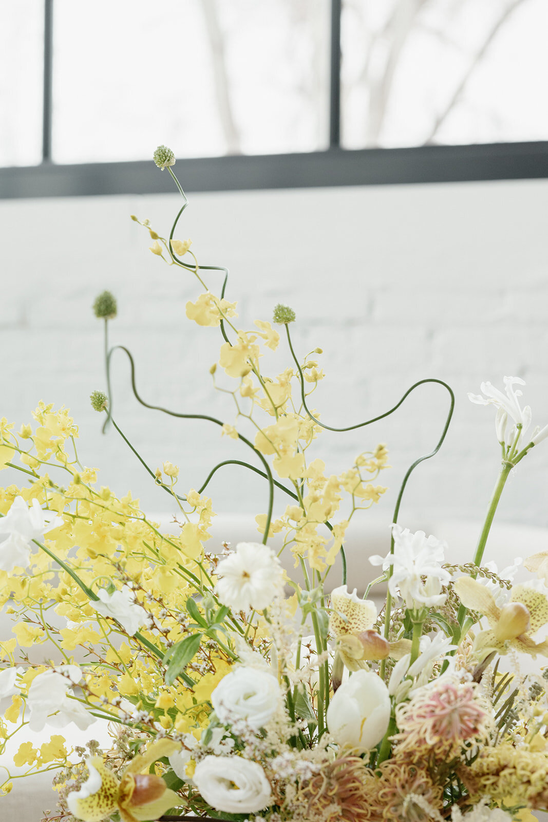 yellow flowers