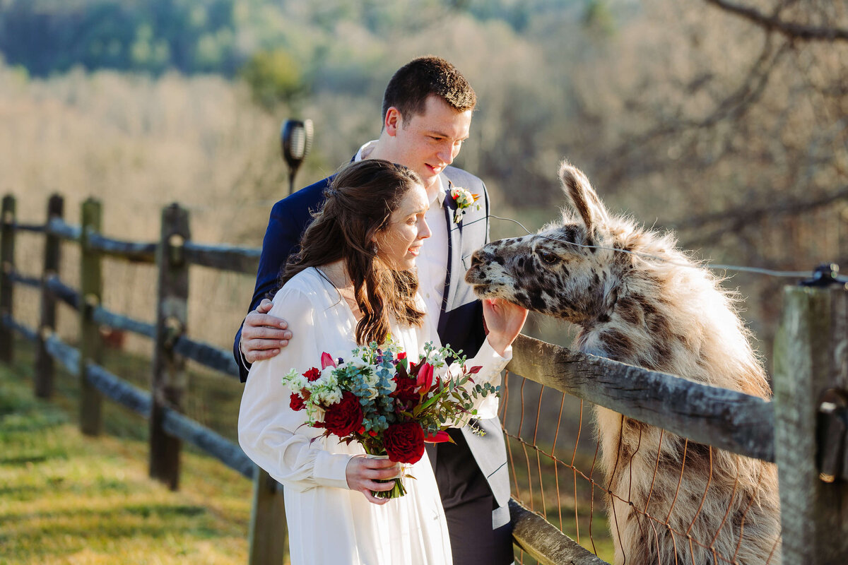 Claxton-Farm-NC-Elopement-9