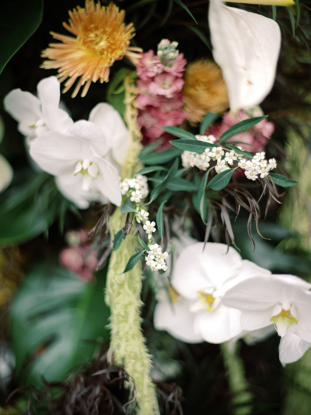 Charleston-Wedding-Dewberry-Philip-Casey-Photography-051