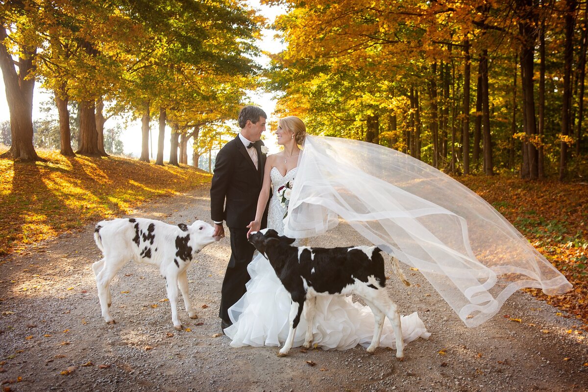 Wedding Photographer in London Ontario | One12 Photography31