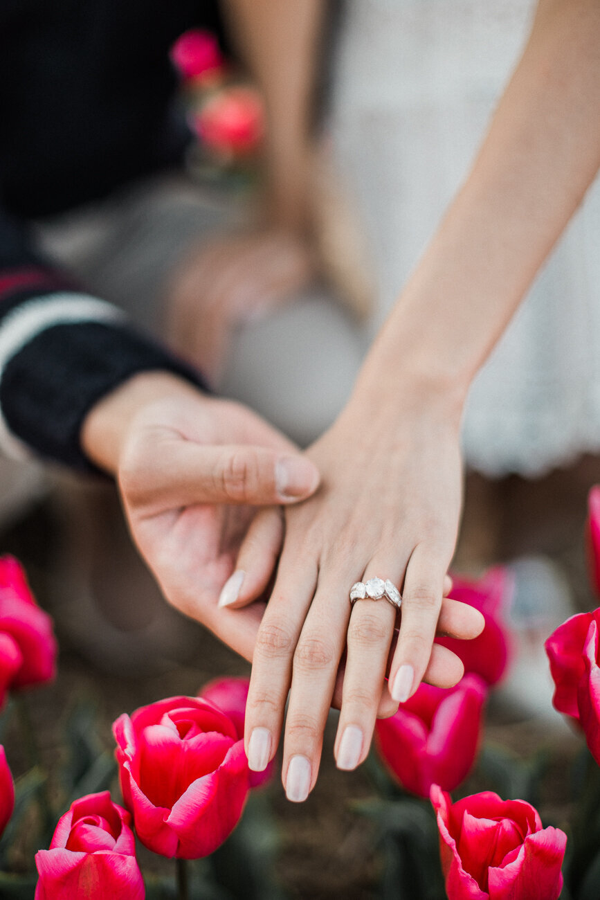 marriage-proposal-tulip-field-067