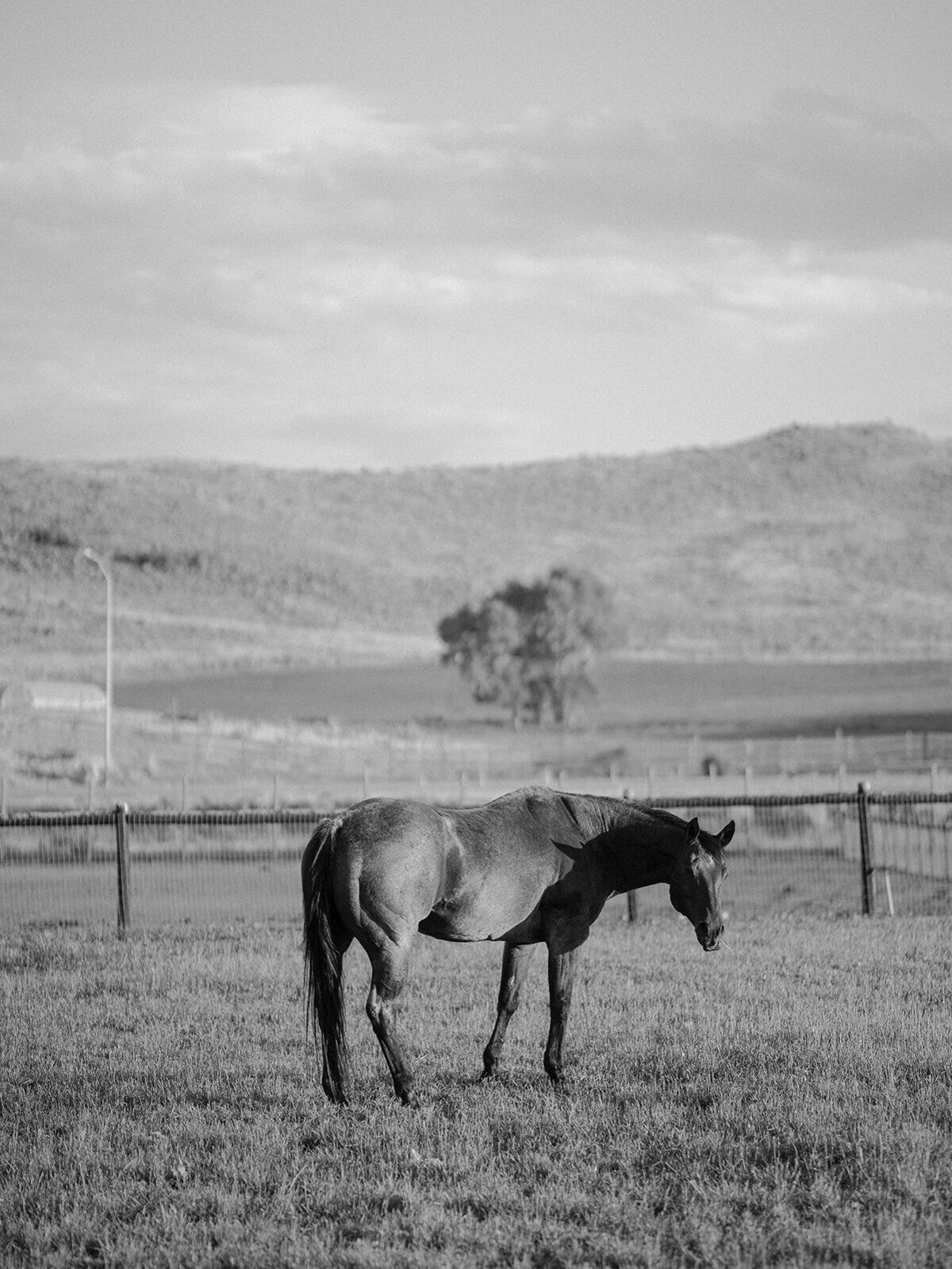 Vanessa & Gabriel Wedding - 0885