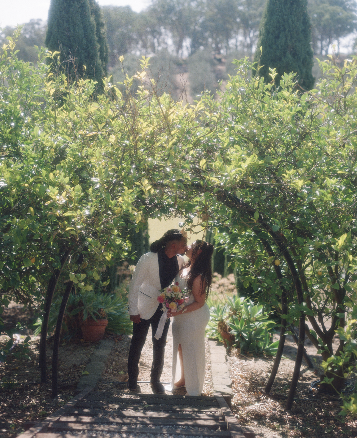H&M 120 film