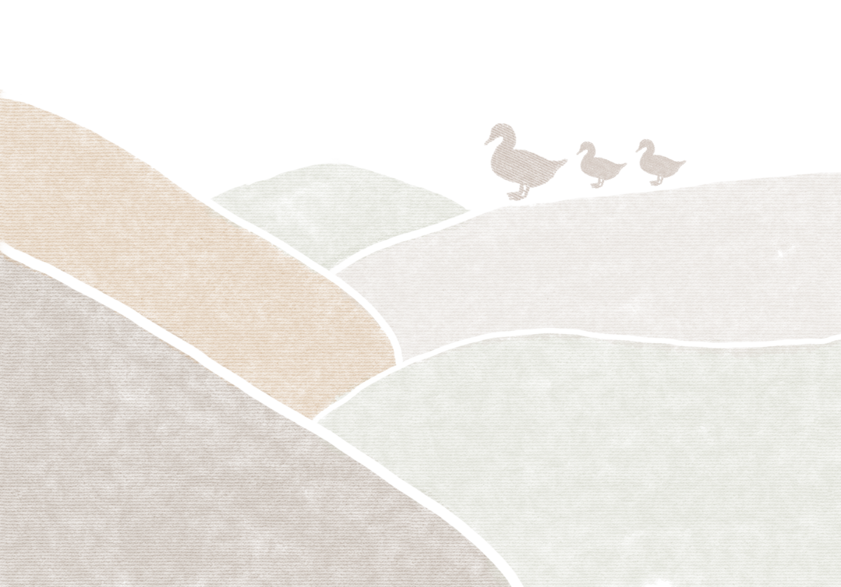 Mountain Illustration