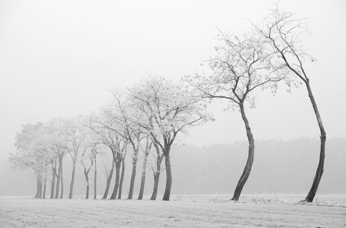 Bart Van der Moeren - De Stille Kempen - 044