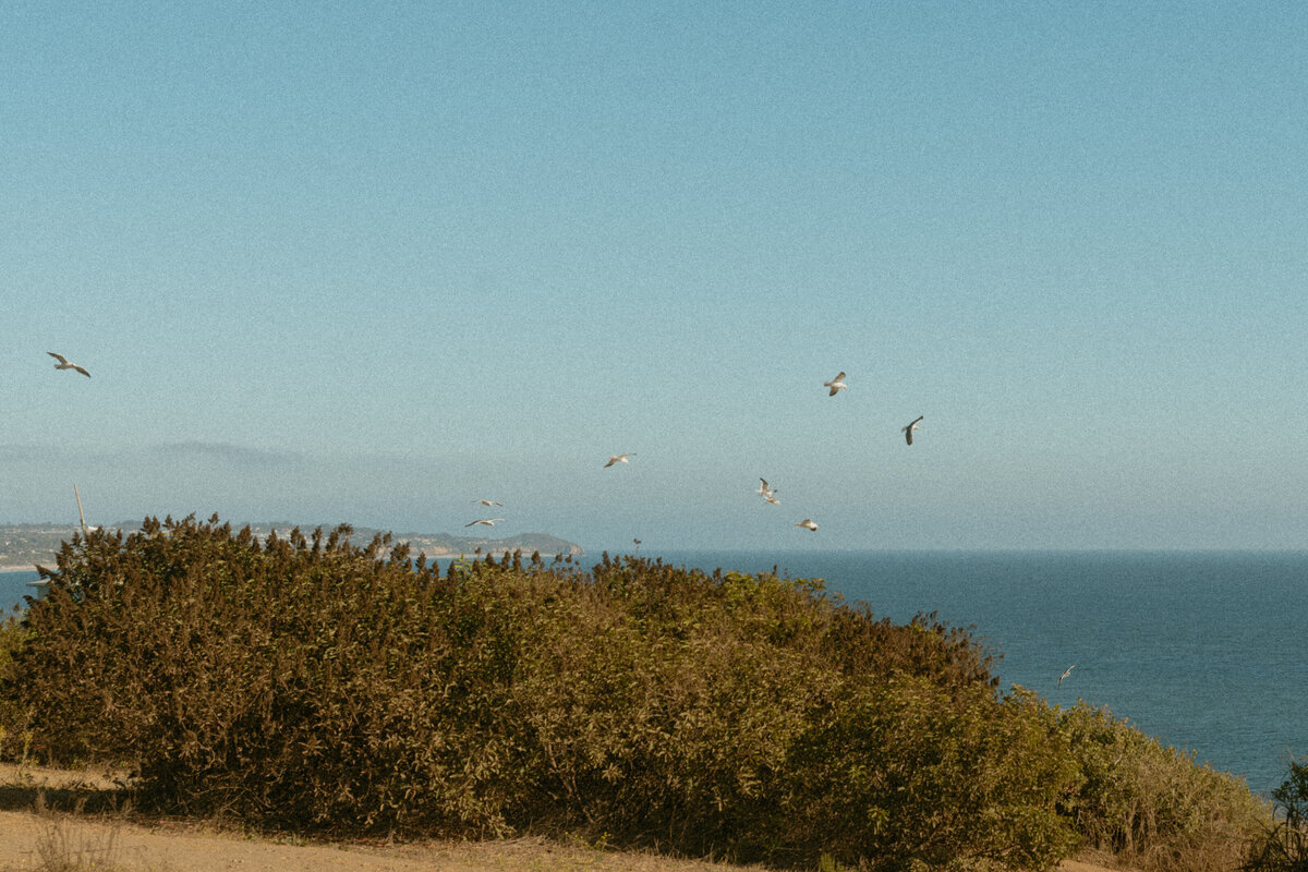 malibu elopement - california elopement - cliffside elopement - lizarrietaphotography
