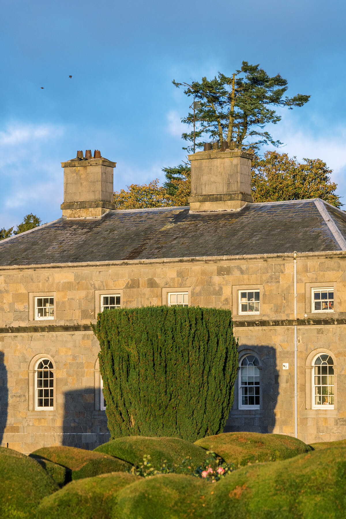 Michelle Norwood Living - Luxury Travel Inspiration - Fairmont - Arte_De_Vie_Engage_Ireland_069