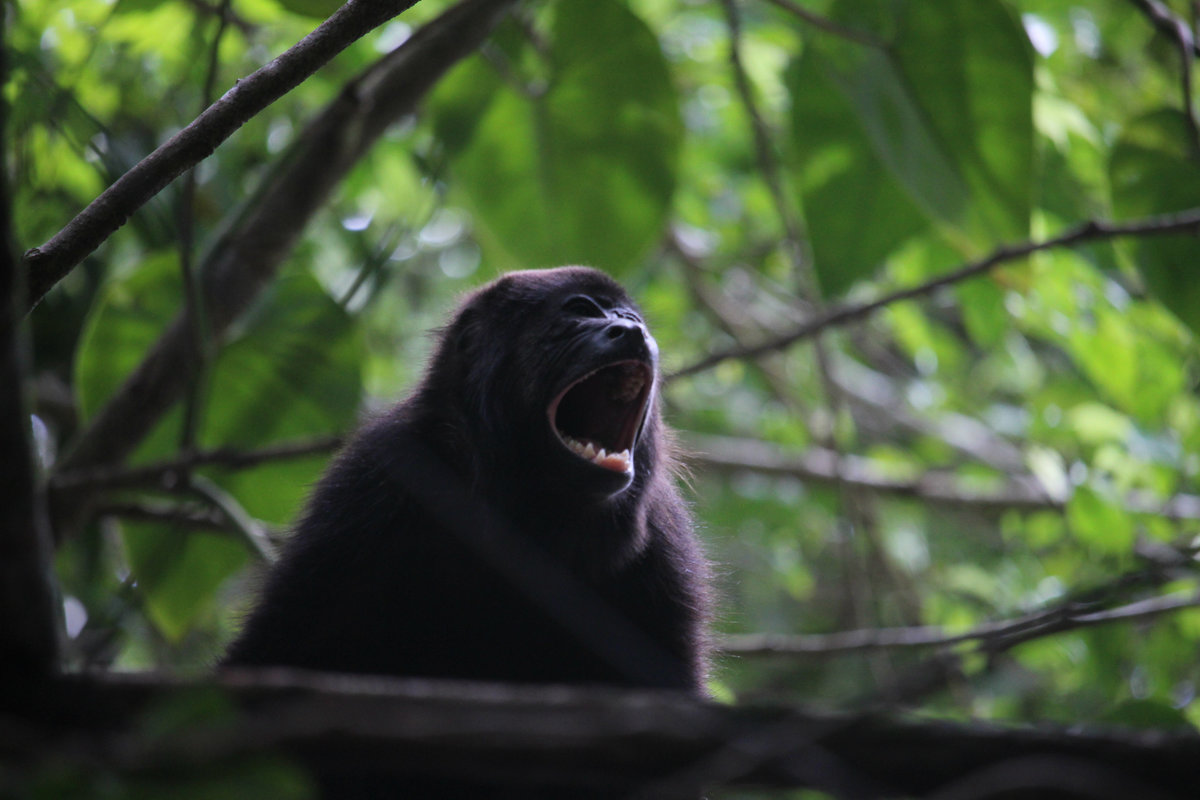 Wade_Muir_Photography_Places-50