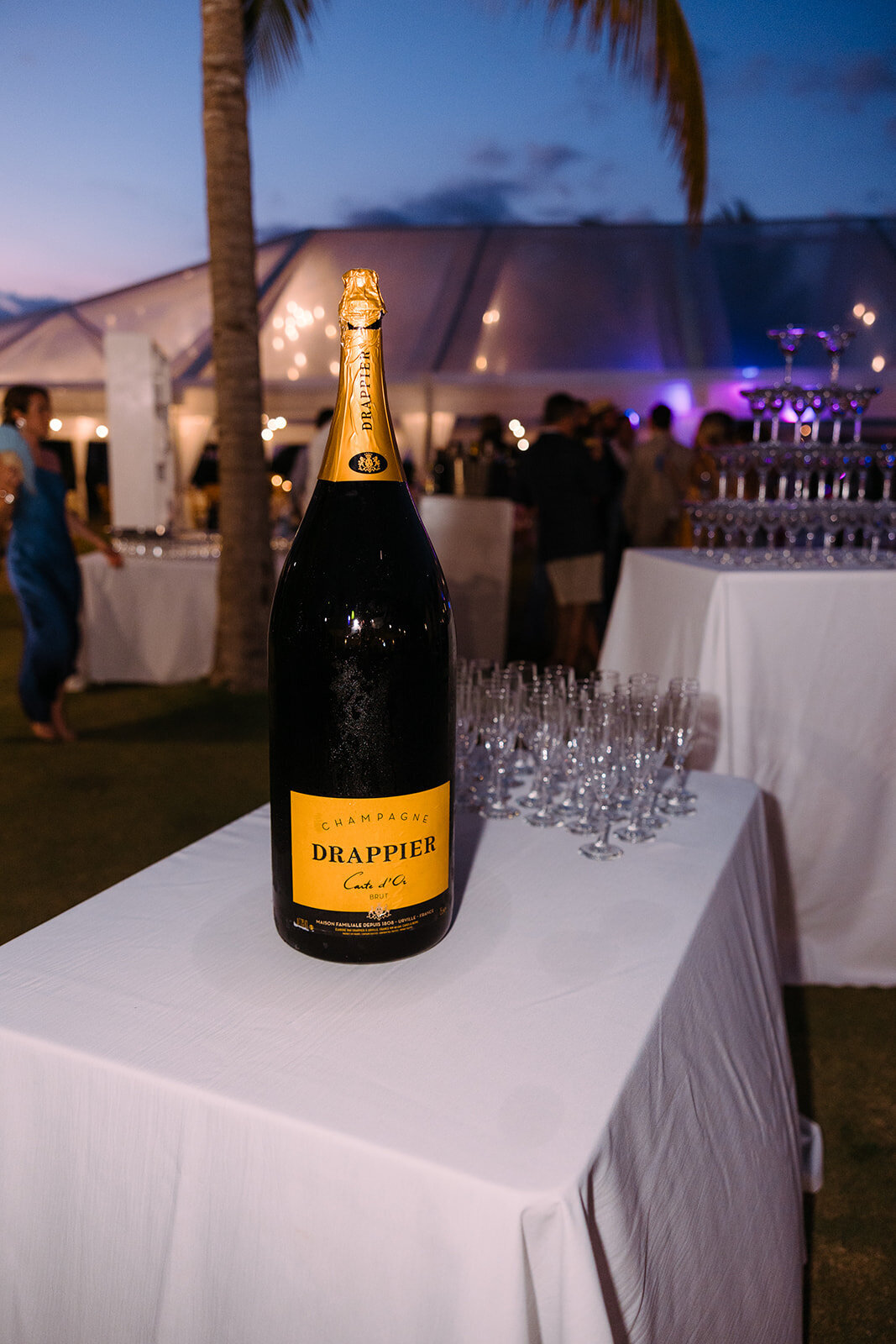 meliandchrisphoto_reception-17_websize
