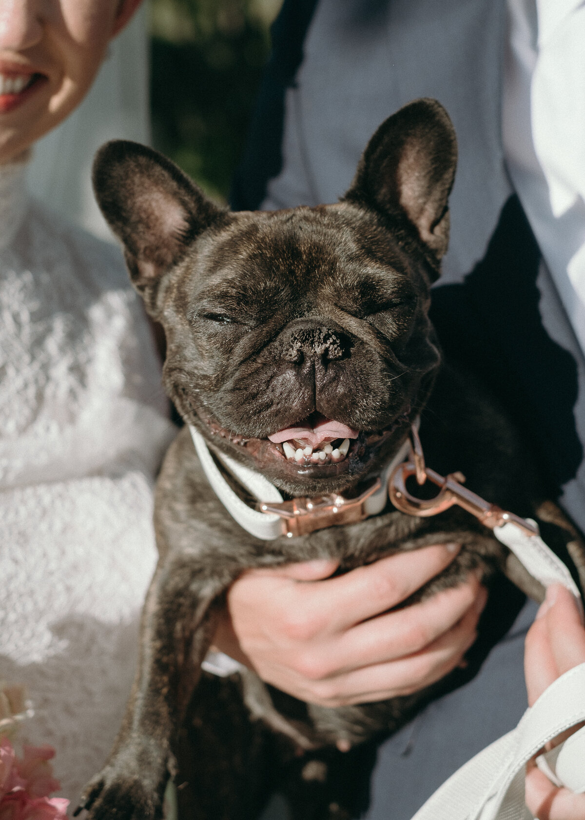 Arizona-Andaz-Resort-Scottsdale-Wedding-Photos-Annette-Ambrose-Photography-1035
