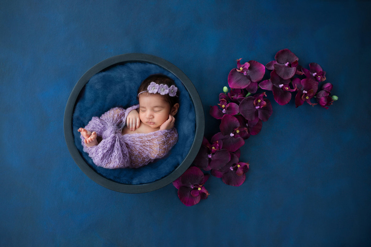 newborn in flowers258