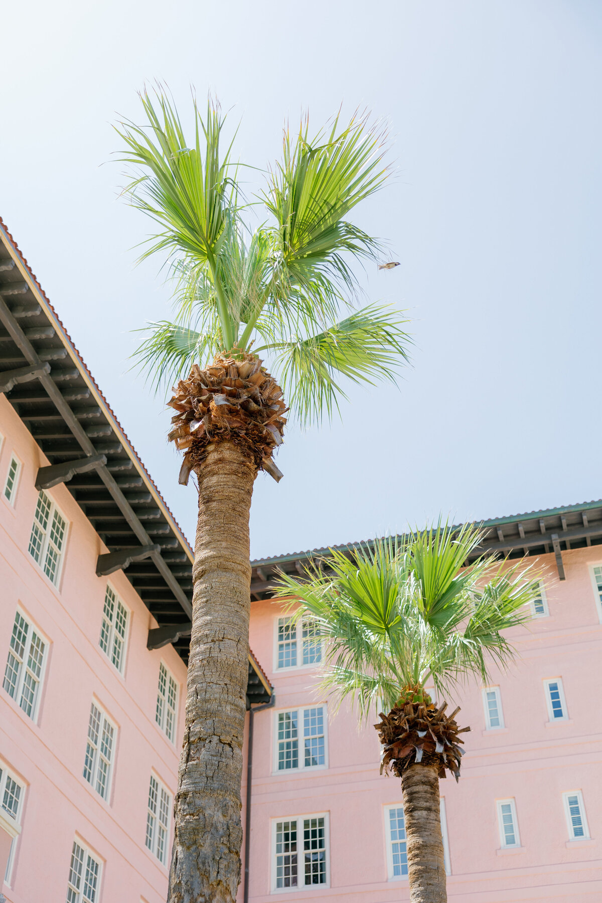 mackenziekatephoto-128
