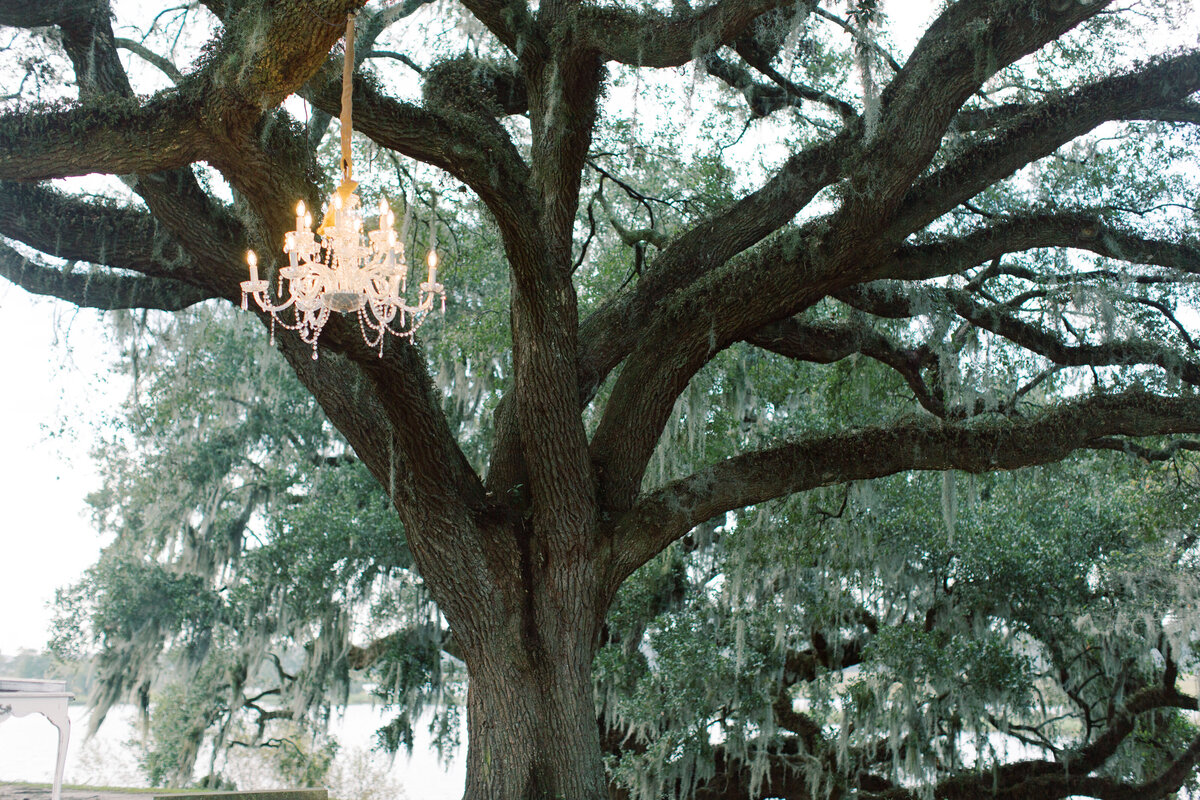 Melton_Wedding__Middleton_Place_Plantation_Charleston_South_Carolina_Jacksonville_Florida_Devon_Donnahoo_Photography__0462