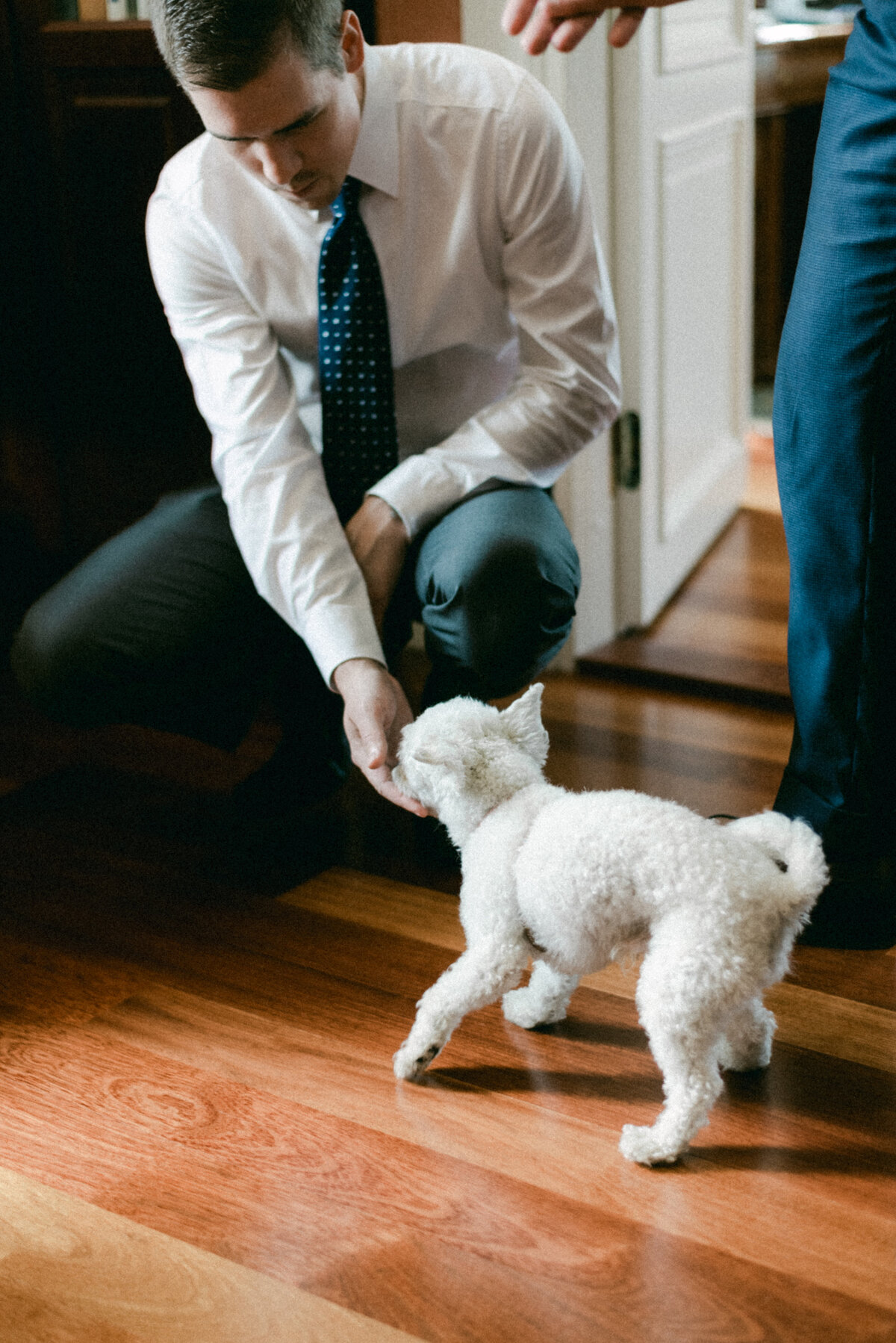 The dog is greeting the bestman in an image photographed by wedding photographer Hannika Gabrielsson.