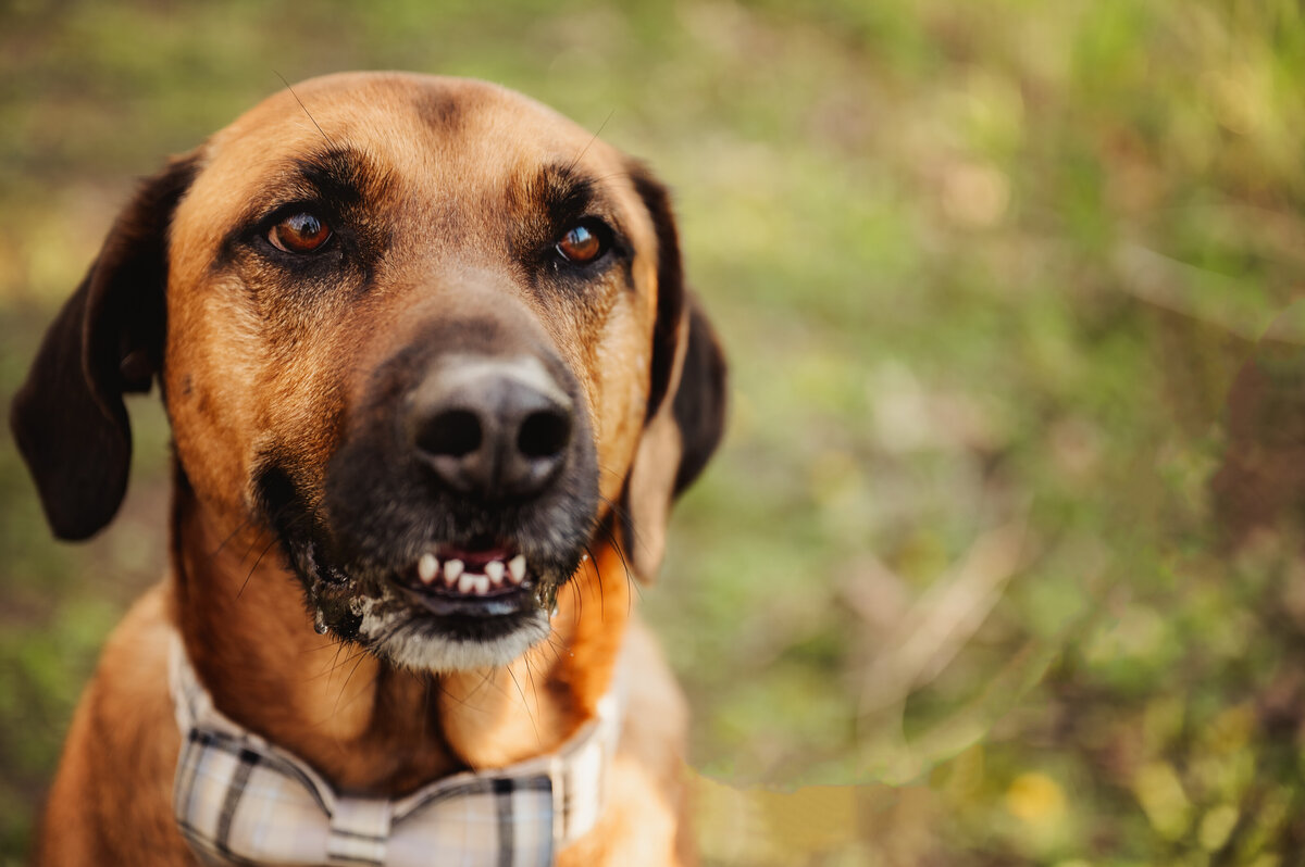 KellyS_Spring2025_030