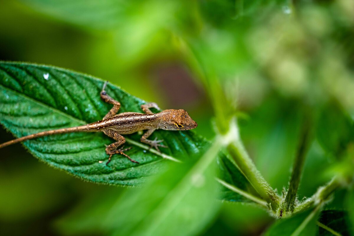_DSC3881-Edit