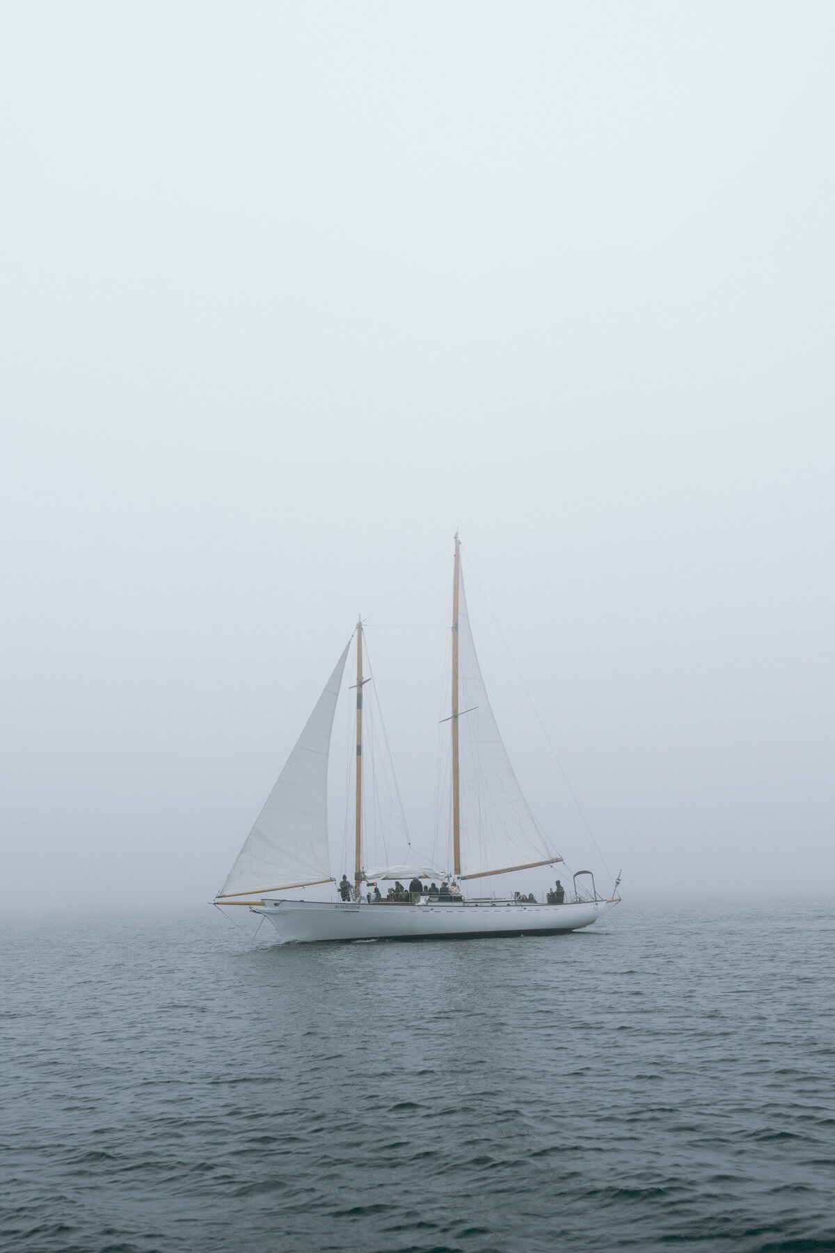 SAEPhotoFilm-241