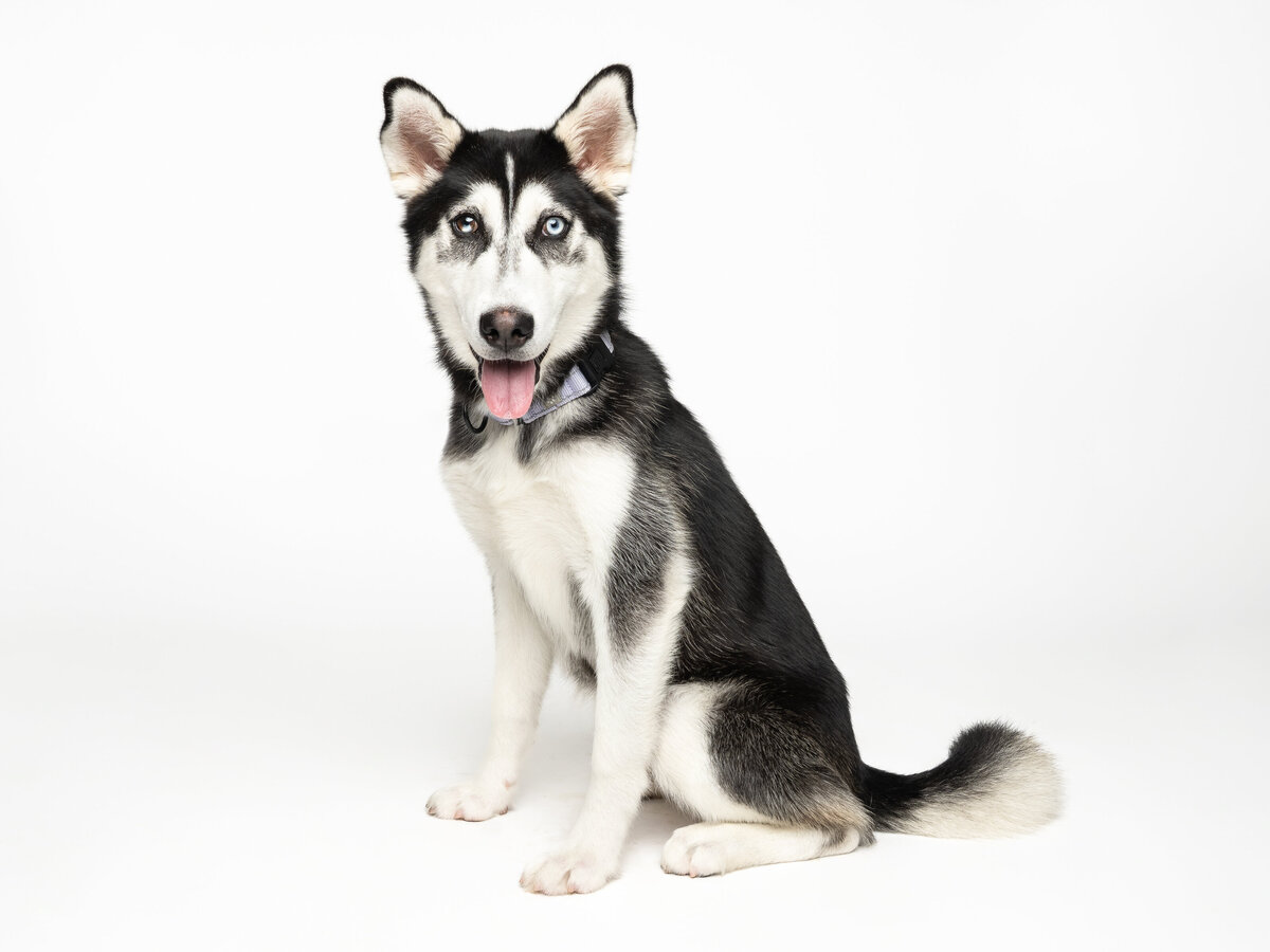 Website3500-DSC01837