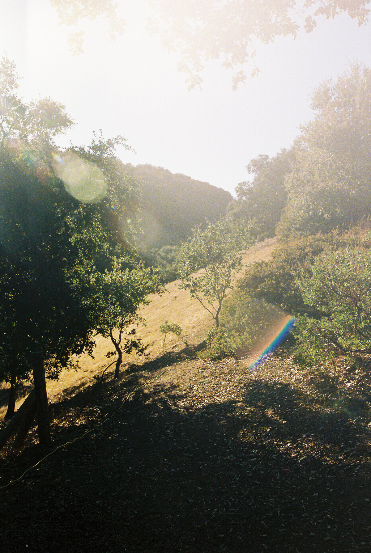 santa lucia preserve wedding
