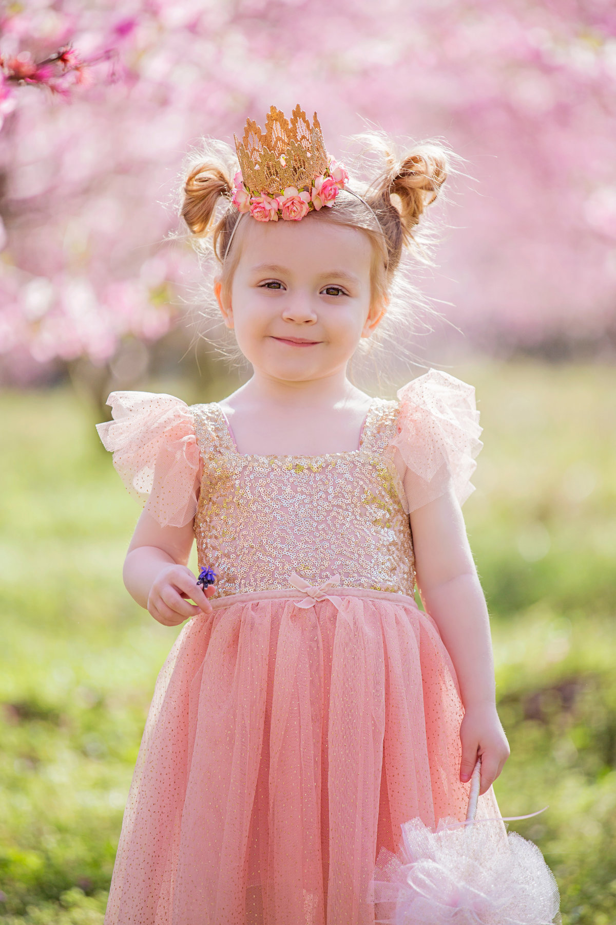 charlotte family photographer jamie lucido creates a beautiful styled image of a child in a princess dress at the cherry blossoms