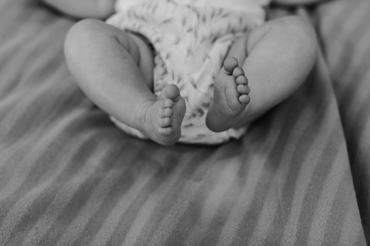 prince-edward-county-family-newborn-photographer59
