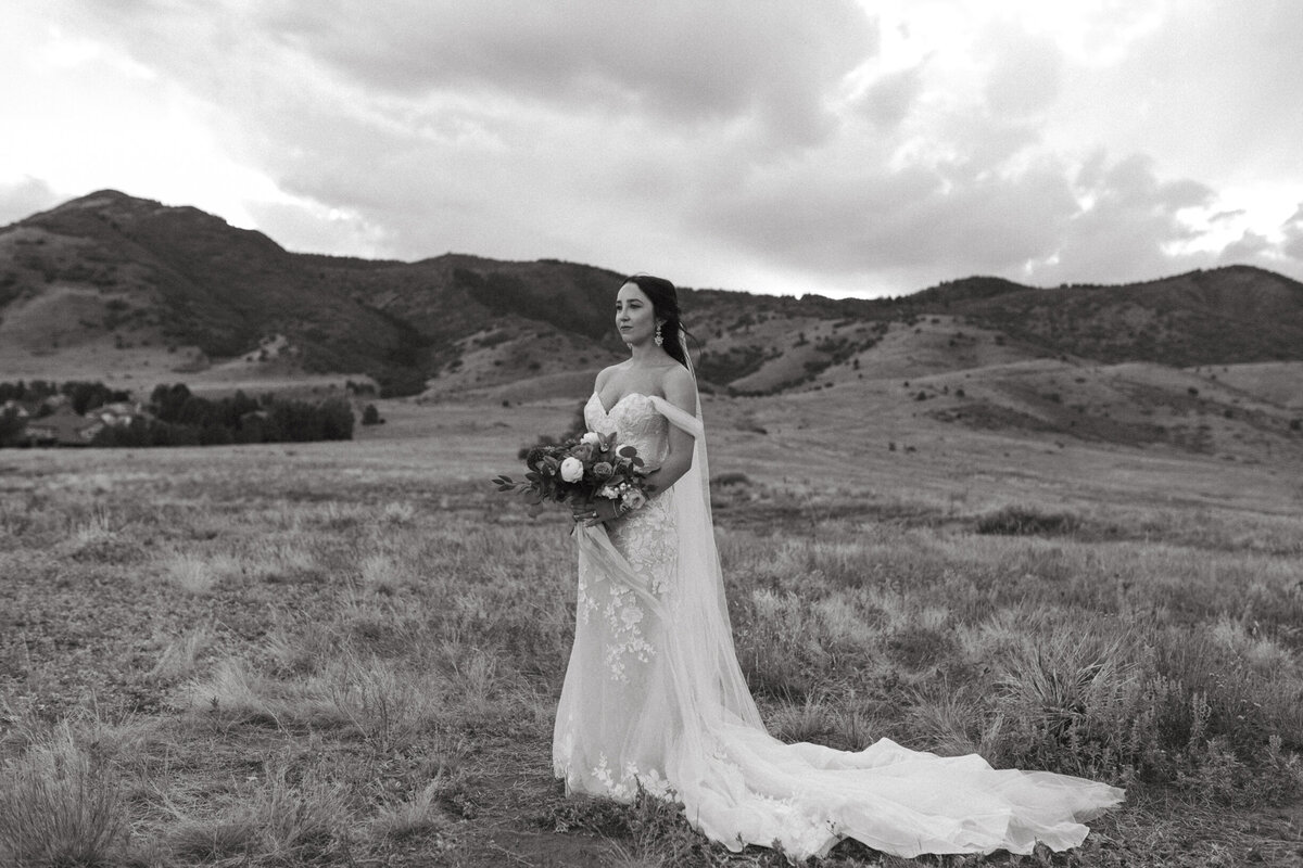 AhnaMariaPhotography_Wedding_Colorado_Fiona&David-195