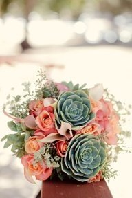 flowers succulents roses