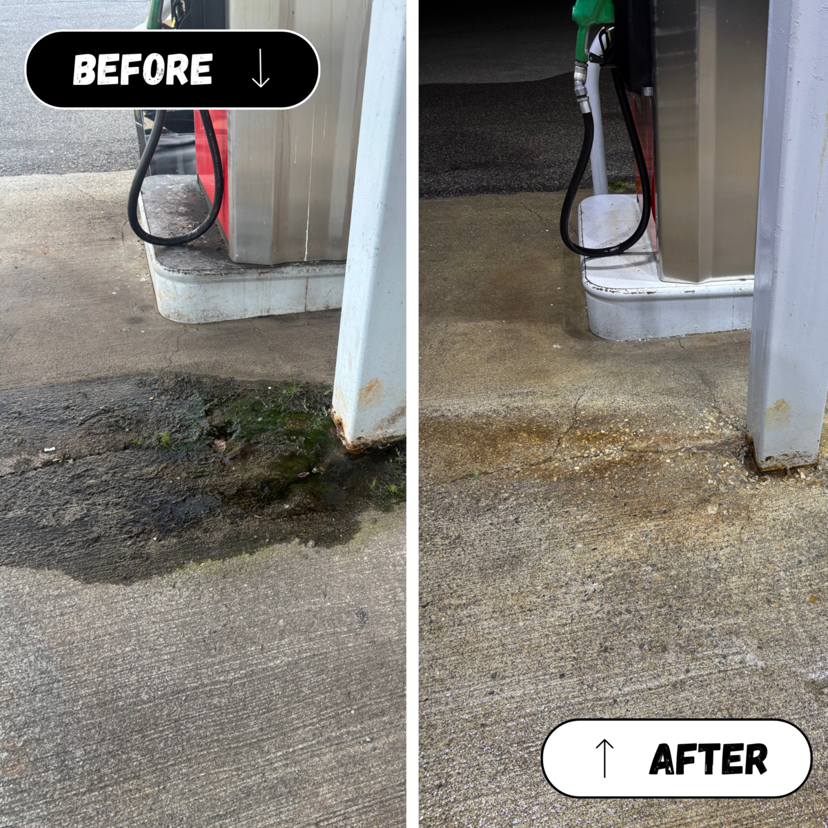 Grit to Gloss Before After (12)