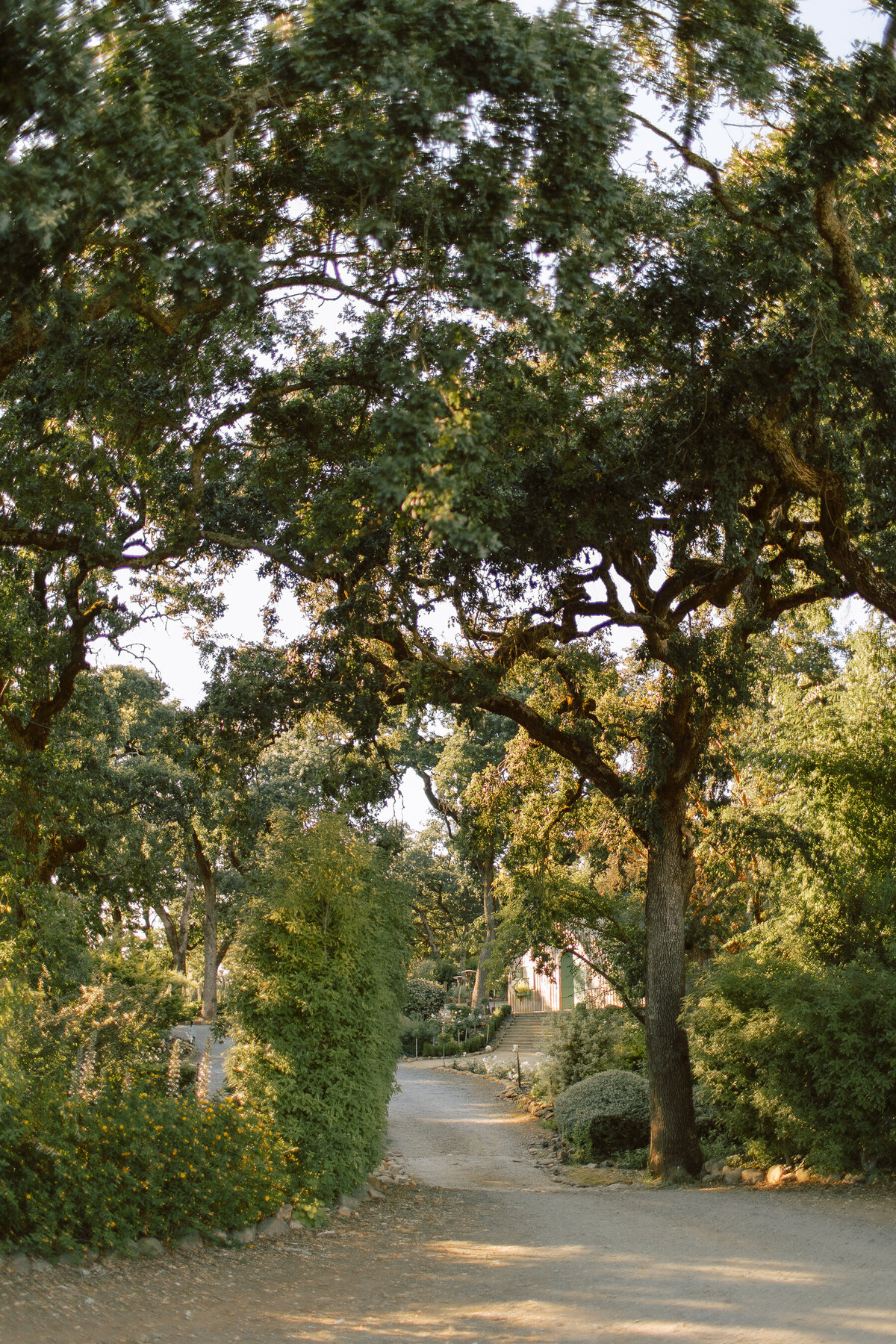 0630wedding_photo_gretchen_gause_annadel_estate_winery