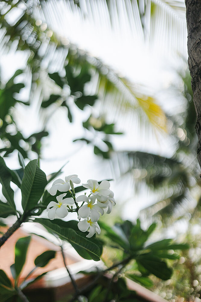 destination-wedding-vietnam-201