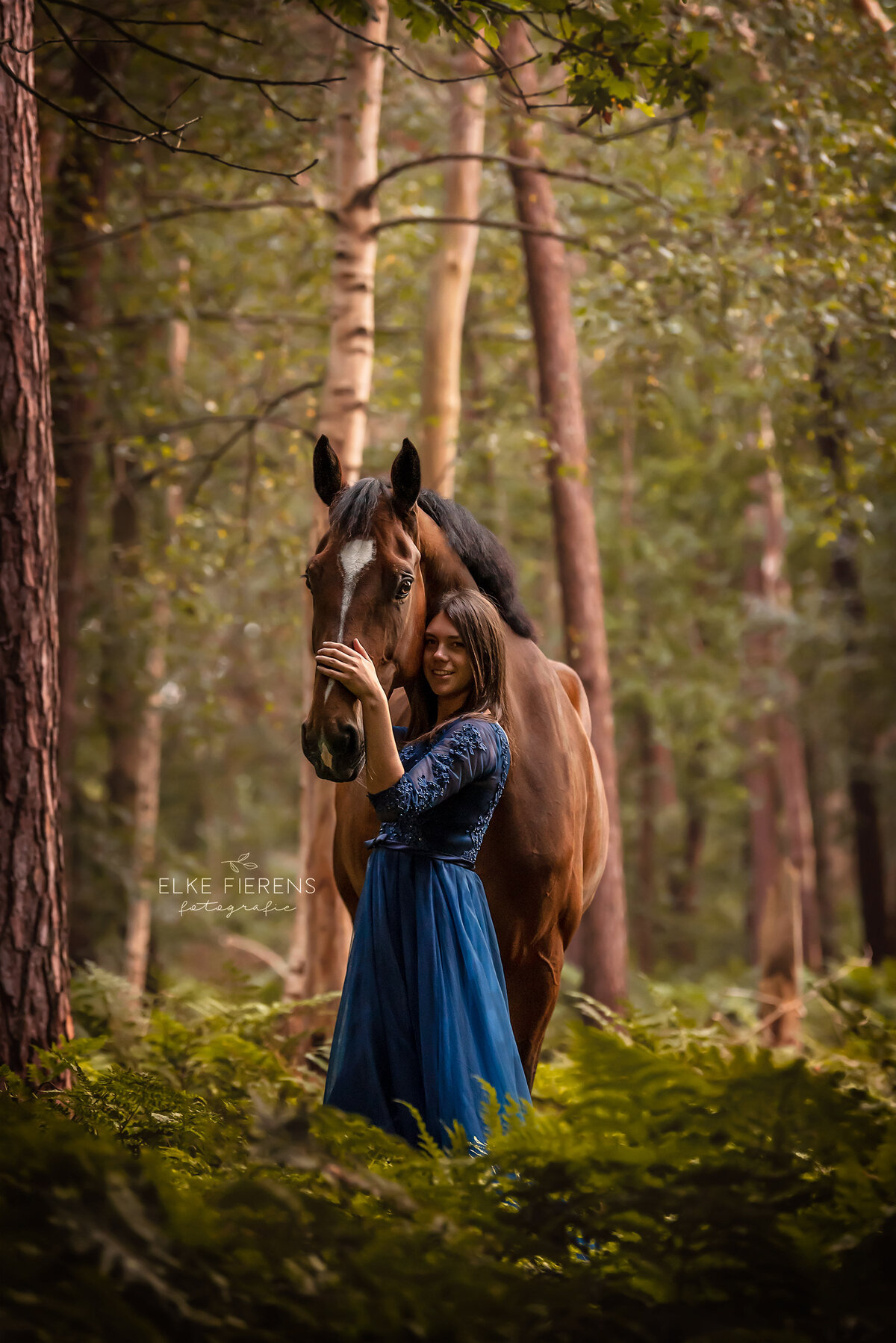 paardenfotograaf - connectiefoto's - paard in het bos - varens