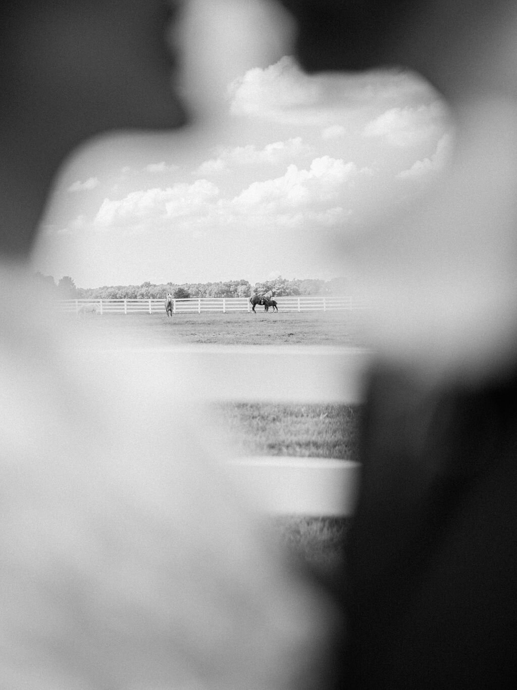 sierradyerco-myers-wedding-portraits-145