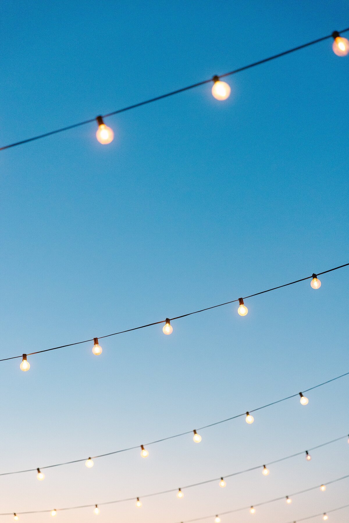 string lights against the evening sky
