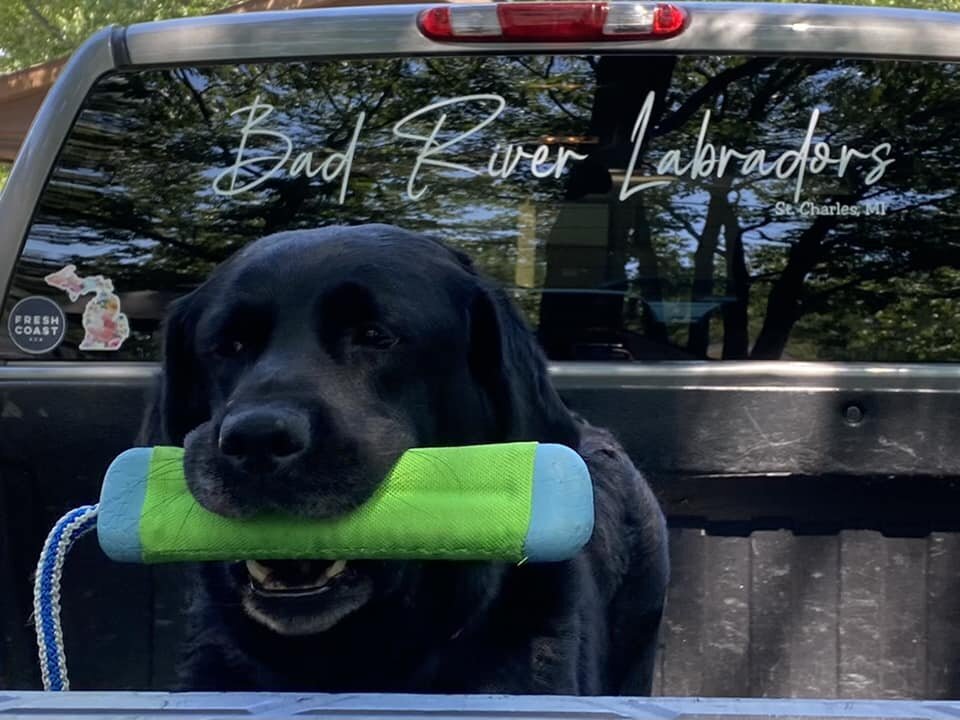 Bad River Labs Truck Window