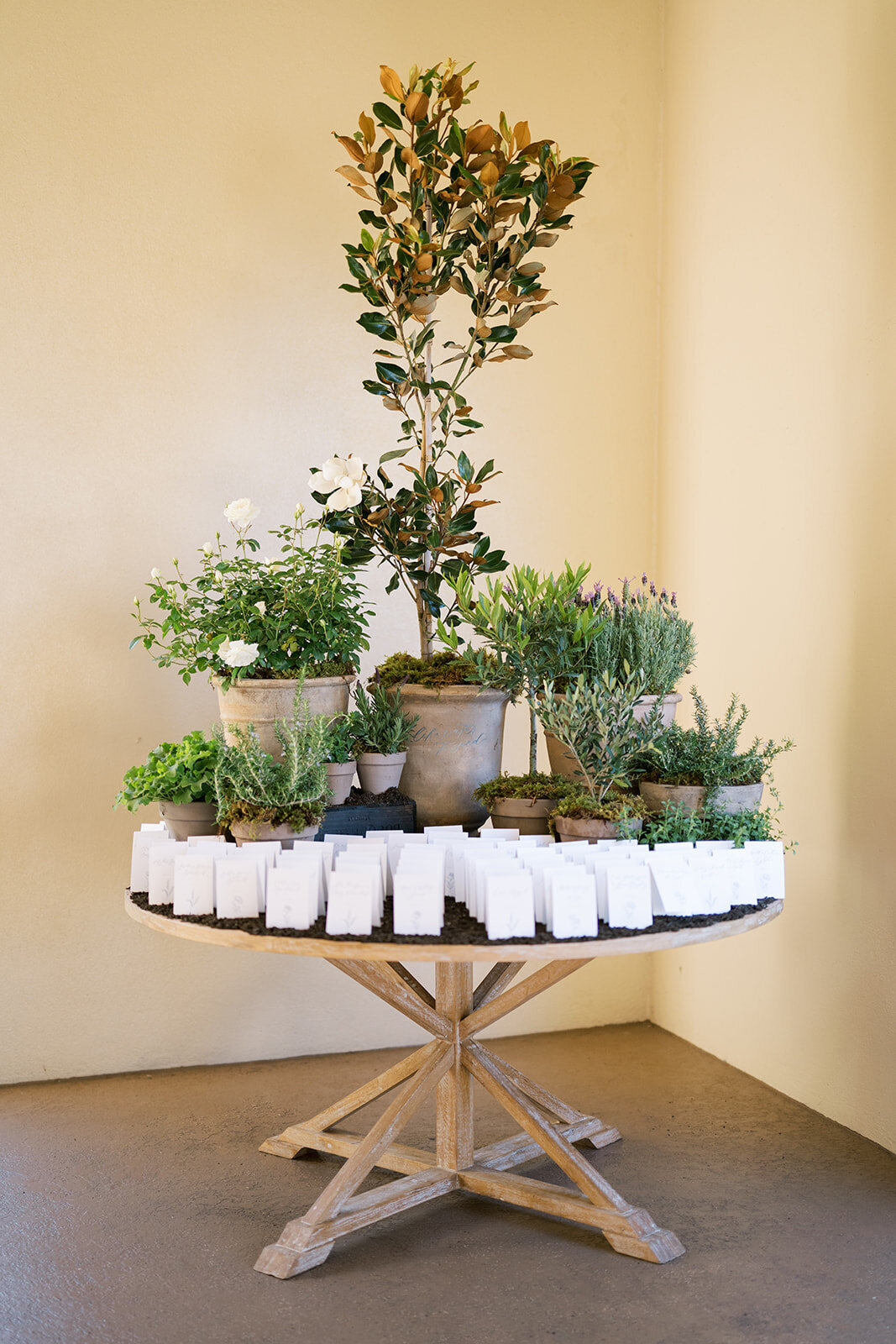 becker-wedding_moffitphoto309