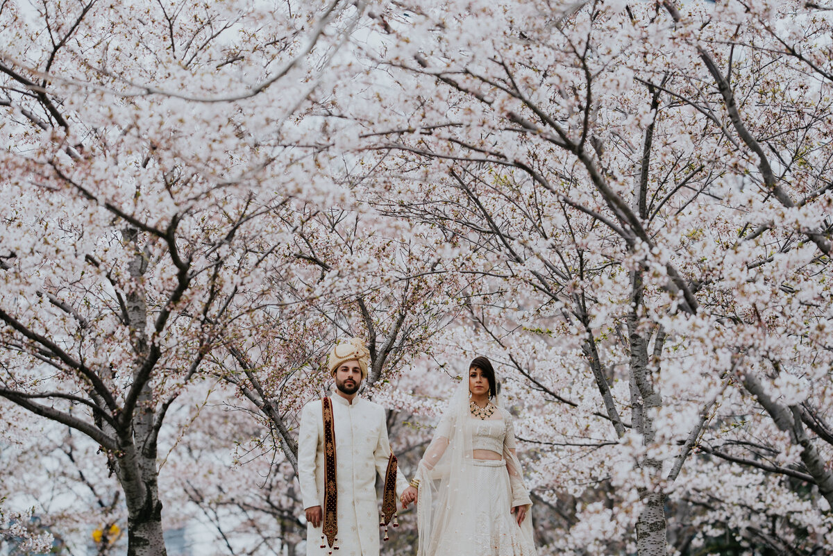 AmritaSinghPhoto-2203