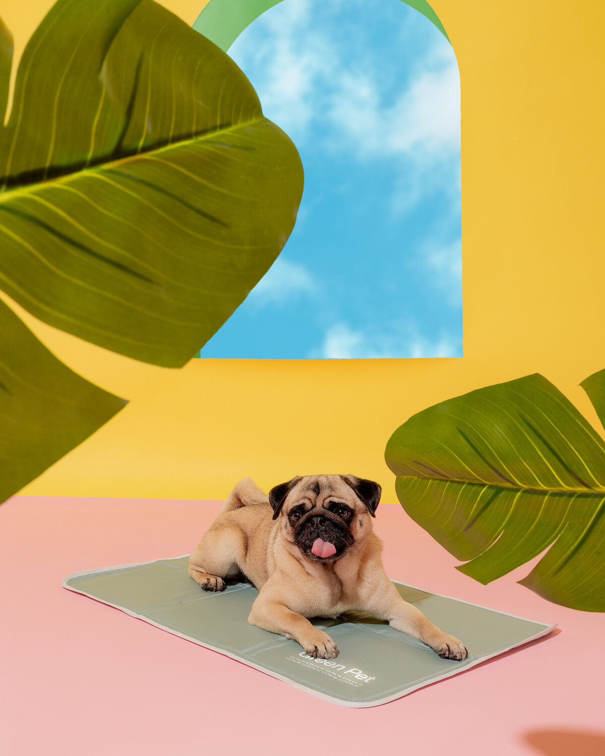 GreenPetcoolingpads_-15