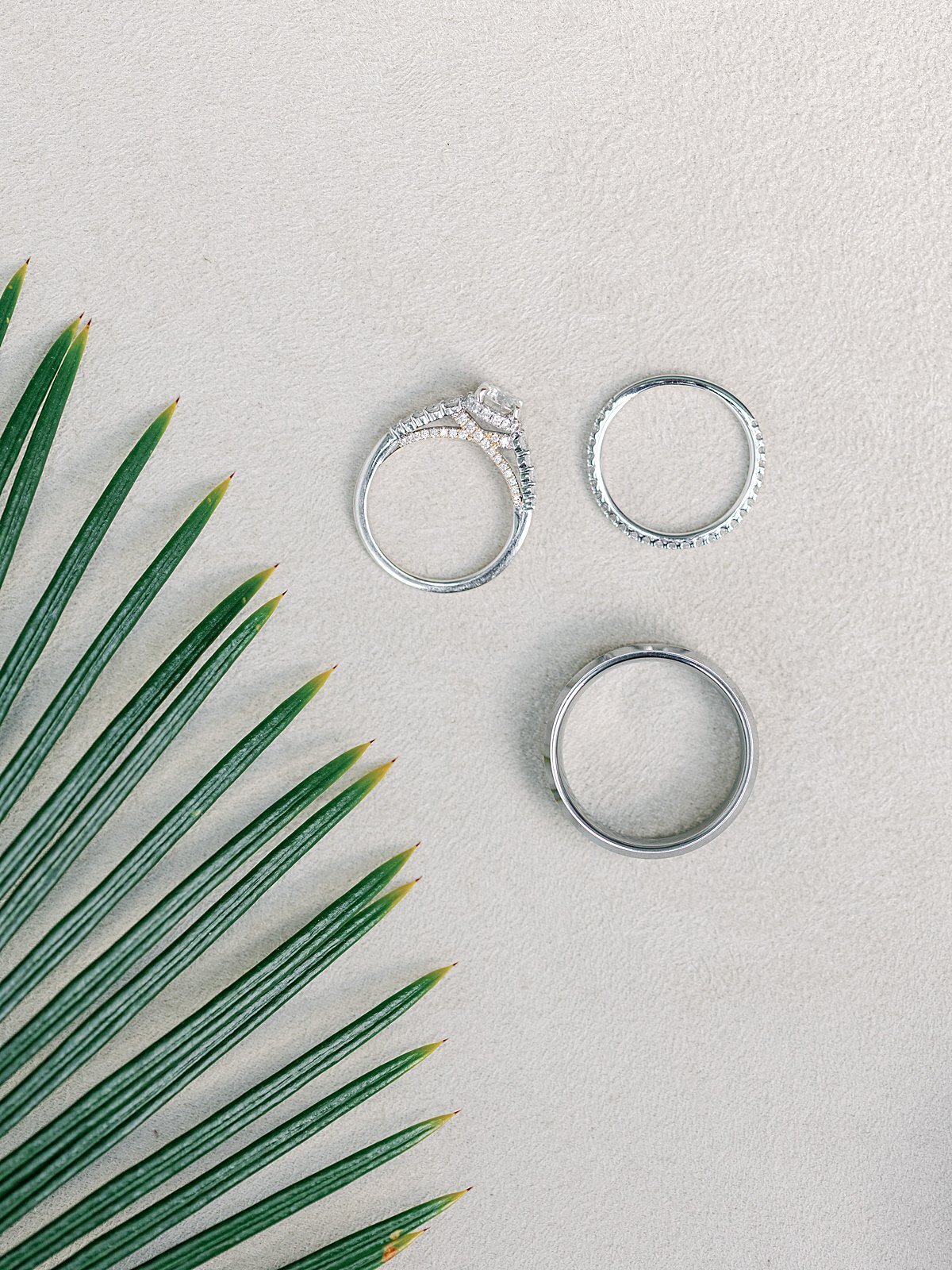 longans-place-wedding-miami-florida-the-hancocks_1198