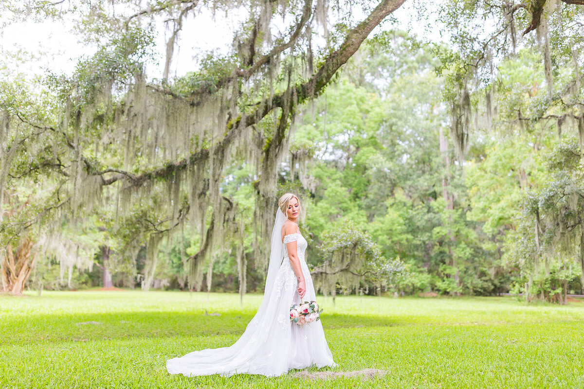 Bride poses under willow tree in South Carolina by TWP.